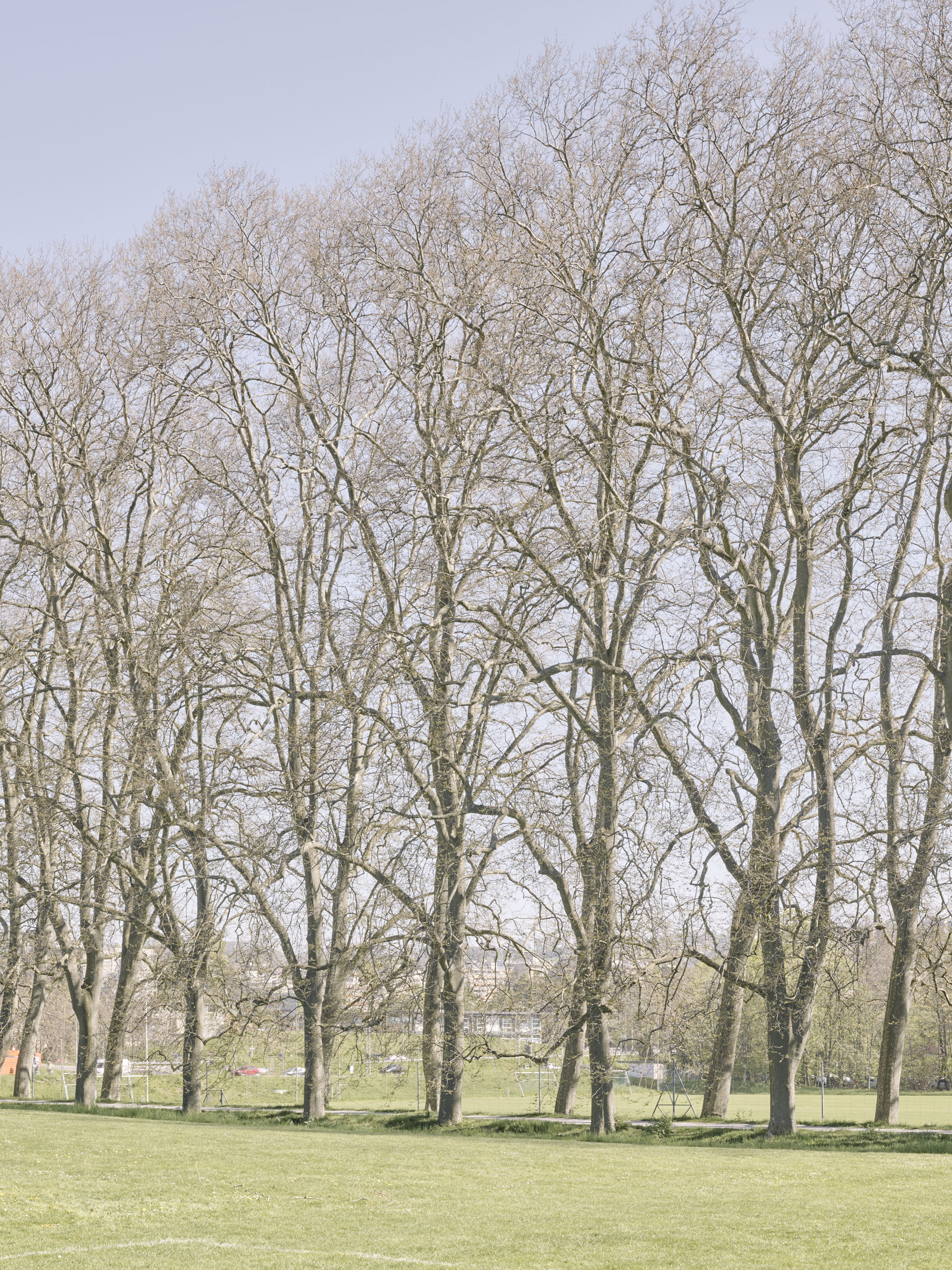 UNIL Sport Cluster construction site